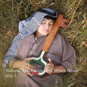 Natural Relaxation with White Noise Vol. 1 - Pets Relax