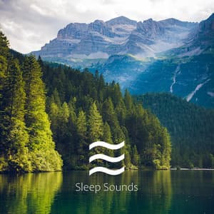 Smooth Soothing Sleeping Recordings of Noises - Sleep Radiance