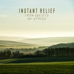 Instant Relief from Anxiety and Stress - Relaxed Mind Music Universe