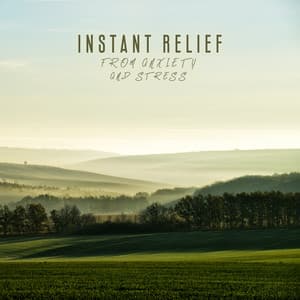 Instant Relief from Anxiety and Stress - Relaxed Mind Music Universe