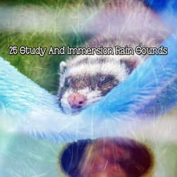 25 Study And Immersion Rain Sounds - Rain Atmospheres