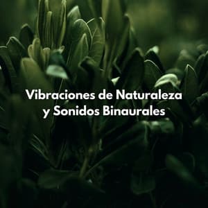 Vibraciones De Naturaleza Y Sonidos Binaurales - Bestia binaural