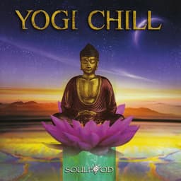 Yogi Chill - Soulfood