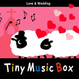 Tiny Music Box / Love & Wedding - Tiny Music Box