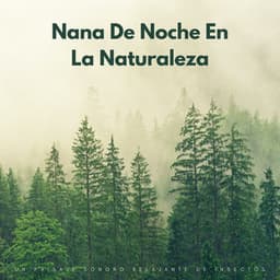 Nana De Noche En La Naturaleza: Un Paisaje Sonoro Relajante De Insectos - Grillos del bosque