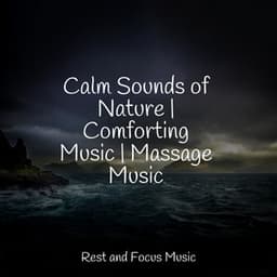 Calm Sounds of Nature | Comforting Music | Massage Music - Classical New Age Piano Music