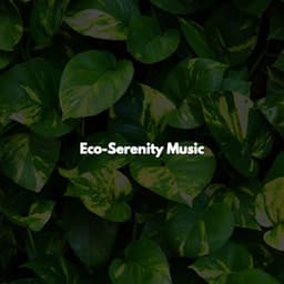 Eco-Serenity Music - Jazz Lounge Bar Radio