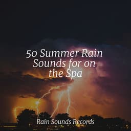 50 Summer Rain Sounds for on the Spa - Meditation Relaxation Club