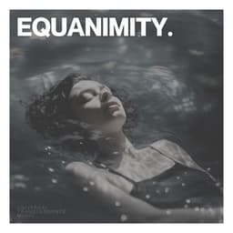 Equanimity - Sleeping Music Zone