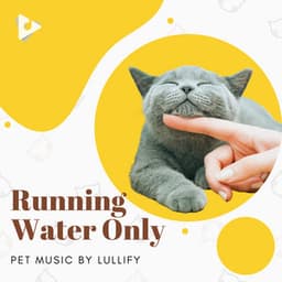 Running Water Only - Pet Music by Lullify