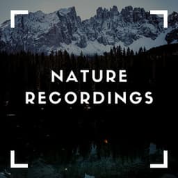Soothing Natures Sounds - Natural Sample Makers