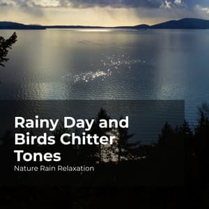Rainy Day and Birds Chitter Tones - Nature Rain Relaxation
