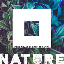 Pure Relax in Harmony with Nature - Natural New Age Maker!