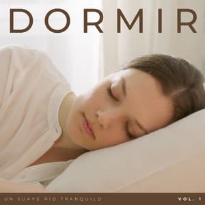 Dormir: Un Suave Río Tranquilo Vol. 1 - Cascadas Relajantes