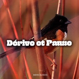 Dérive et Pause - Berceuses