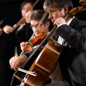 Calm Orchestra: Music for Relaxation and Sleep - Charles Anderson