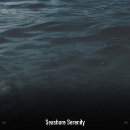 !!!!" Seashore Serenity "!!!! - Ocean Waves