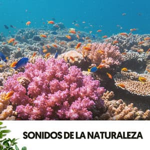 Sonidos de la Naturaleza: Melodías bajo las olas - Relajacion