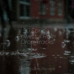 50 Spring Powerful Rain Drop Tracks - Calming Waves