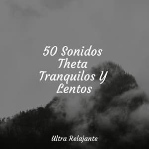 50 Sonidos Theta Tranquilos Y Lentos - Música Para Meditar y Relajarse