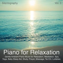 Piano for Relaxation, Vol. 3 - Silentography