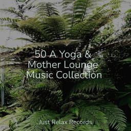 50 A Yoga & Mother Lounge Music Collection - Música relaxante