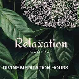 Divine Meditation Hours - Zen Healing Melodies