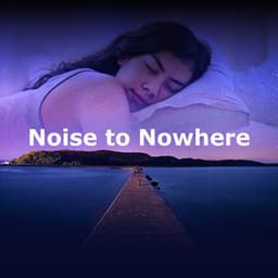 Noise to Nowhere - Pet Care Music Therapy