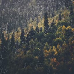 Música Relajante para Dormir - Música De Relajación Para Dormir Profundamente