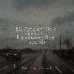 50 Ambient Rain Sounds - Rainshower Rain Sounds - Sea Waves Sounds