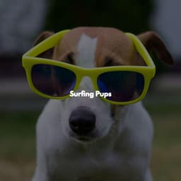 Surfing Pups - Relaxing Jazz