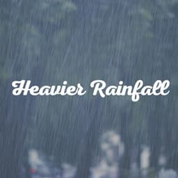 Heavier Rainfall - 24H Rain Sounds