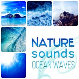 Earthly Echoes - Cyprian Nimka