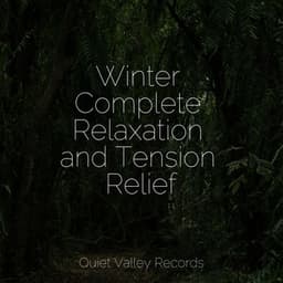 Winter Complete Relaxation and Tension Relief - Yoga Soul