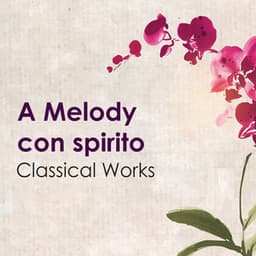 "A Melody con spirito" - Classical Works - Wolfgang Amadeus Mozart
