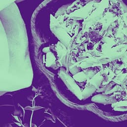 Cheerful Ambiance for New Moods - Wine Bar Music