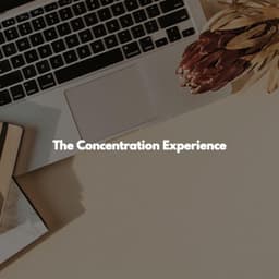 The Concentration Experience - Deluxe Cafe Jazz