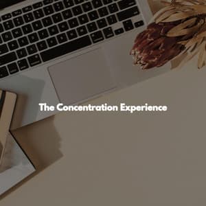 The Concentration Experience - Deluxe Cafe Jazz