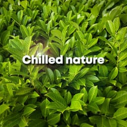 Chilled Nature - ASMR Earth