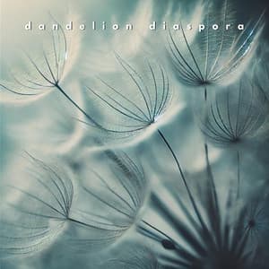Dandelion Diaspora: Silvered Dreams - Relaxing Music Zone