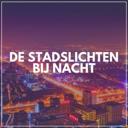 De Stadslichten Bij Nacht - Slapen