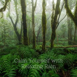 Calm Yourself with Relaxing Rain - Relaxxium