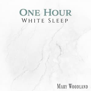 One Hour White Sleep - Mary Woodland