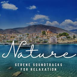 Massage Dreams: Serene Soundtracks for Relaxation - Spa Music Kingdom