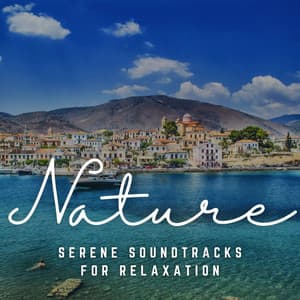 Massage Dreams: Serene Soundtracks for Relaxation - Spa Music Kingdom