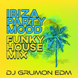 Ibiza Party Mood: Funky House Mix, Chillhouse Beats, Summer All Year Round - DJ Grumon EDM