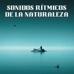 Sonidos Rítmicos De La Naturaleza - Acústica de la Naturaleza