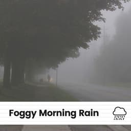 Foggy Morning Rain - Rain Sounds for Relaxation