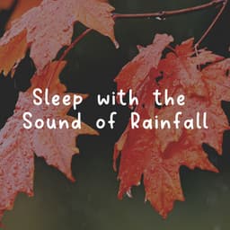 Sleep with the Sound of Rainfall - Rain Storm Sample Library