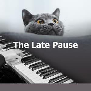 The Late Pause - Classical For Study